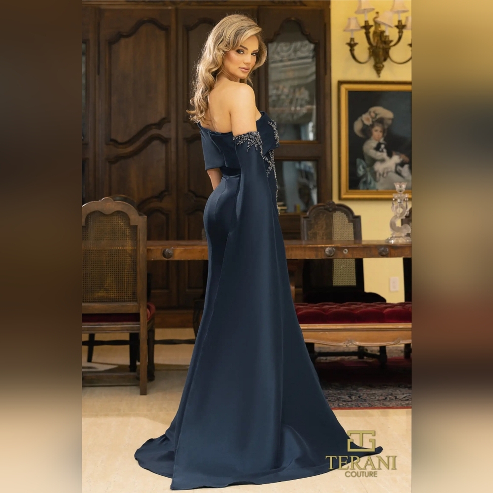Terani Formal Evening  Gown / Mother Of The Bride - Picture 5 of 6